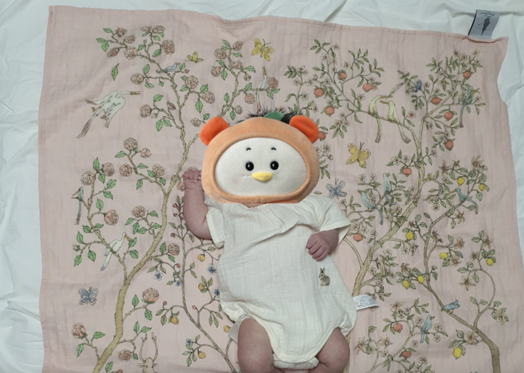 아뜰리에슈 카레 인블룸 핑크 블랭킷 위에 신생아 아기가 누워있다