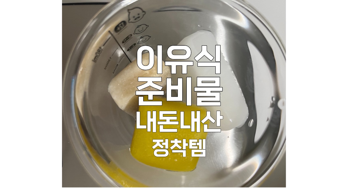 이유식 준비물 내돈내산 정착템